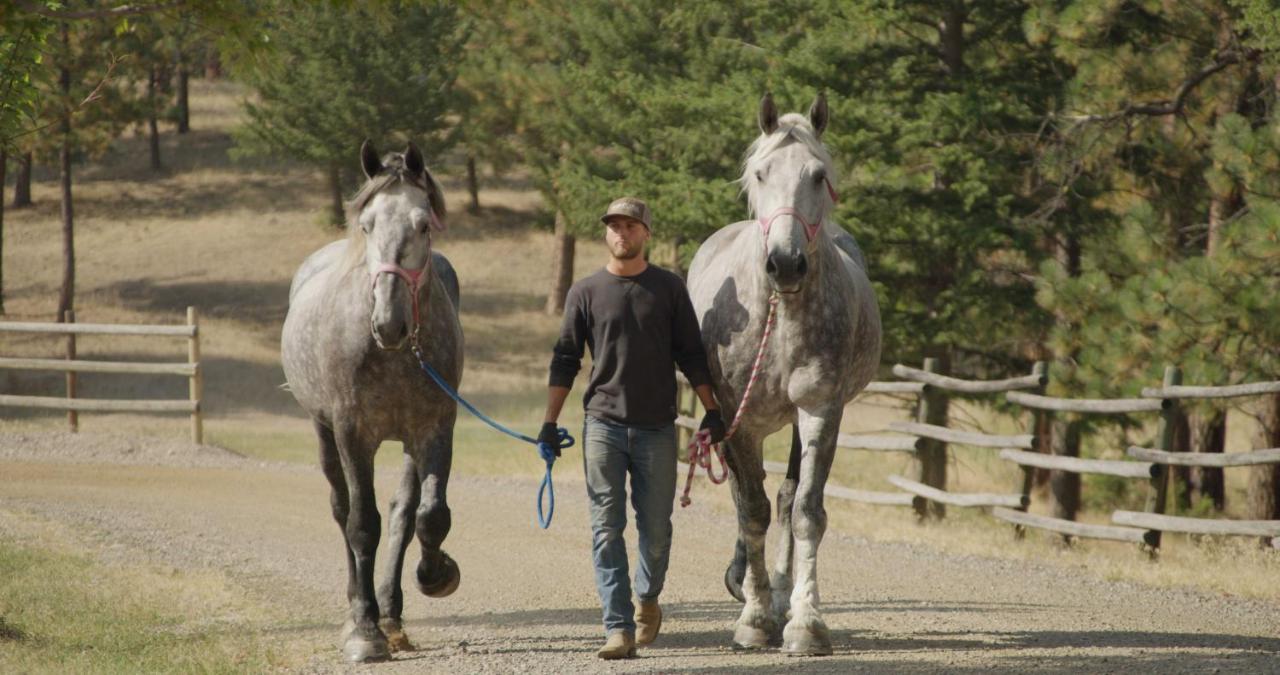 RIverView Ranch Alberton Zewnętrze zdjęcie