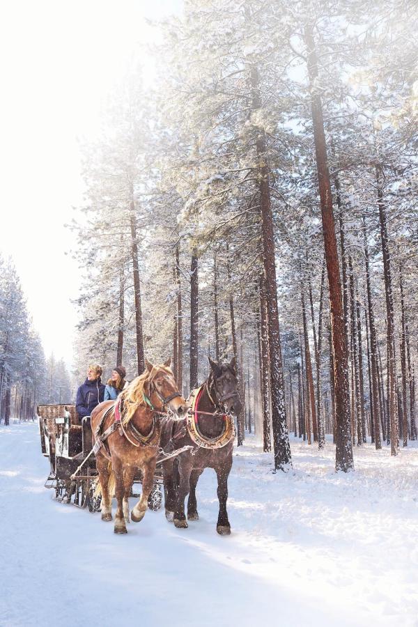 RIverView Ranch Alberton Zewnętrze zdjęcie