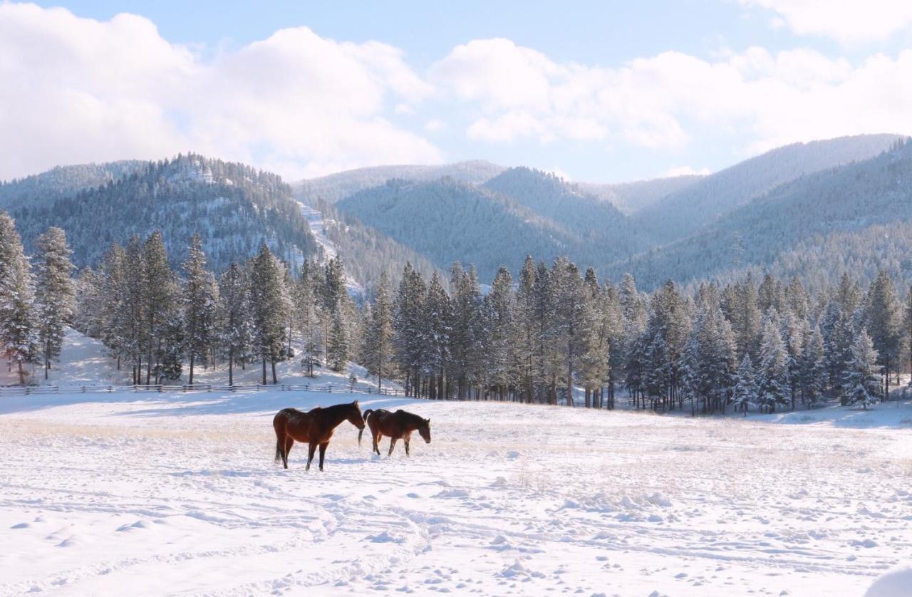 RIverView Ranch Alberton Zewnętrze zdjęcie