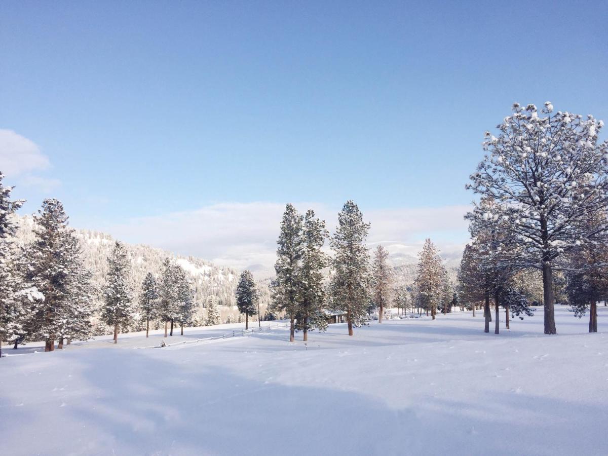 RIverView Ranch Alberton Zewnętrze zdjęcie